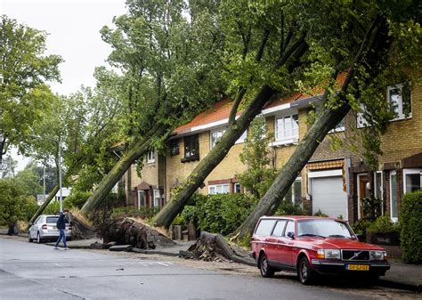 Eerste foto van Nówie Storm Slager