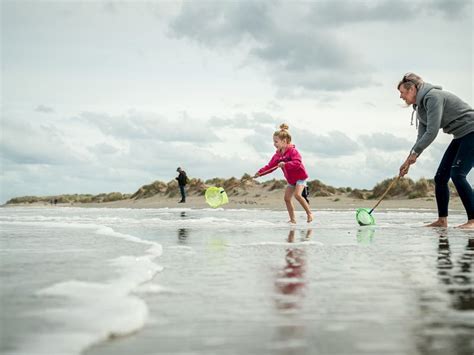 Kinderen die met schepnetjes in rotspoeltjes op het strand van Guernsey spelen