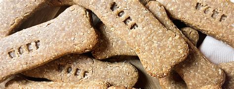 Illustratie van verschillende gezonde ingrediënten voor hondenkoekjes, zoals banaan, havermout en wortel